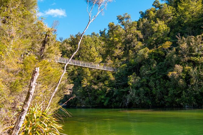 Full-Day Abel Tasman National Park Hiking Tour with Cruise - The afternoon walk and the estuary crossing