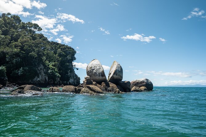 Full-Day Abel Tasman National Park Hiking Tour with Cruise - Is $371.72 a fair price?