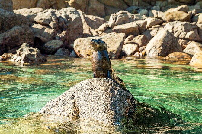 Full-Day Abel Tasman National Park Hiking Tour with Cruise - Practical details that matter