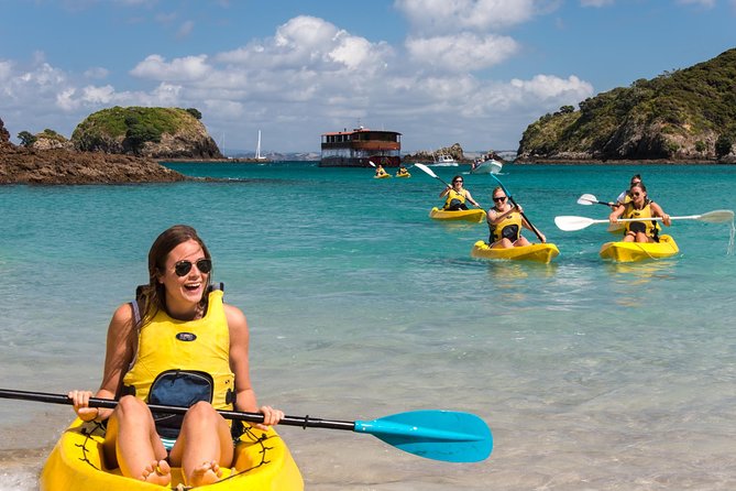 Full-Day Adventure Cruise with Lunch in Bay of Islands - Key points to know before booking