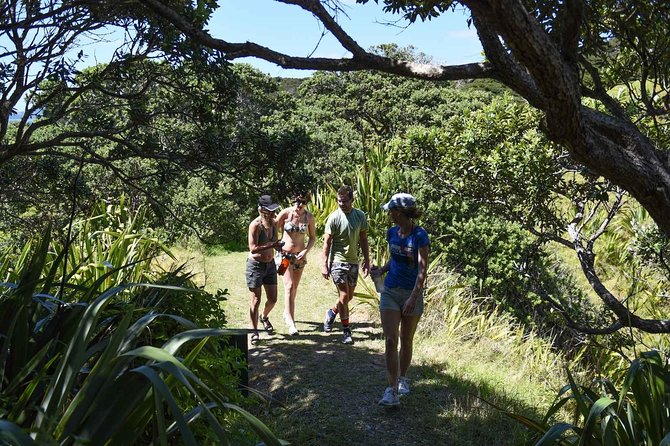 Full-Day Adventure Cruise with Lunch in Bay of Islands - Fresh seafood and a lunch with local character