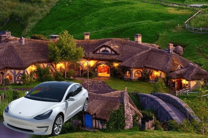 Full-Day Driver with Tesla Car-Customisable North Island Tour - One car, many North Island possibilities