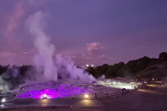 Full-Day Driver with Tesla Car-Customisable North Island Tour - Rotorua gives you the widest menu