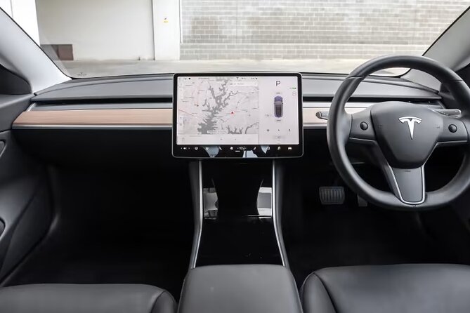 Full-Day Driver with Tesla Car-Customisable North Island Tour - Family fun, farm life, and views