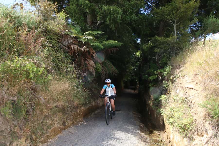 Full Day Ebike Tour - Karangahake Gorge NZ - The Martha mine pit near Waihi