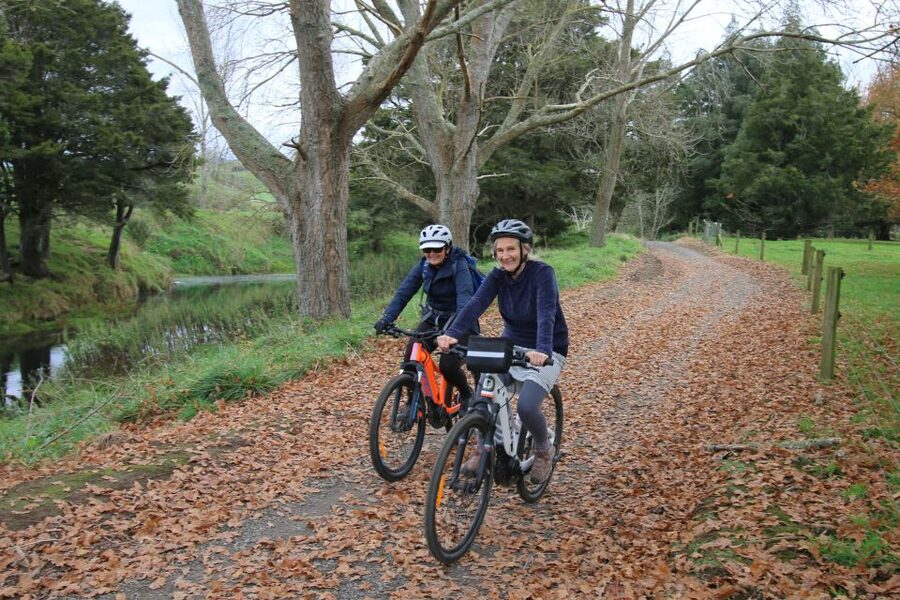 Full Day Ebike Tour - Karangahake Gorge NZ - What the $176 price includes