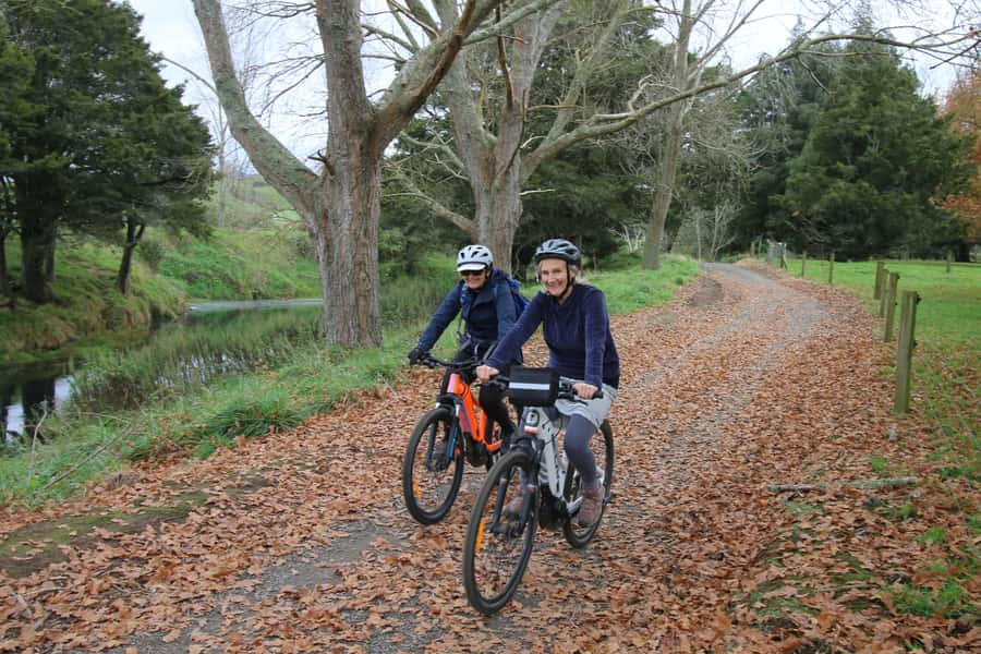 Full Day Ebike Tour - Karangahake Gorge NZ - Waikino to Waihi, with gold underfoot