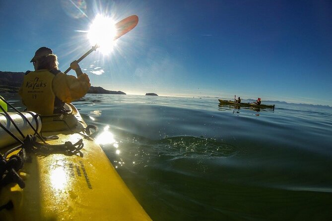 Full-Day Freedom Kayak Rental in New Zealand - Beaches, caves, and Watering Cove