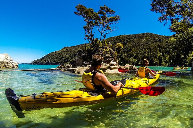 Full-Day Freedom Kayak Rental in New Zealand - What the $77.57 price buys you