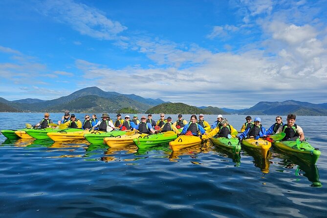 Full day Guided Sea Kayak Tour from Picton - Following the wind through Queen Charlotte Sound