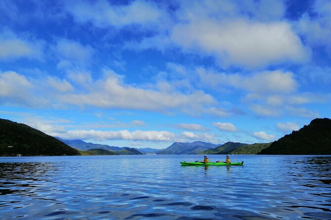Full day Guided Sea Kayak Tour from Picton - What the equipment and group size mean
