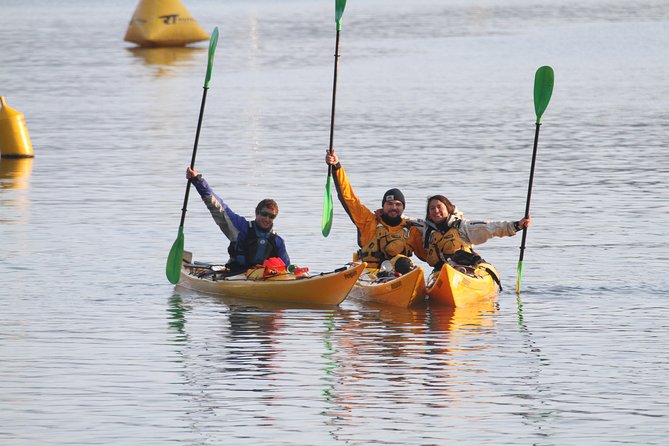 Full day Guided Sea Kayak Tour from Picton - Weather, cancellations, and the one serious caution