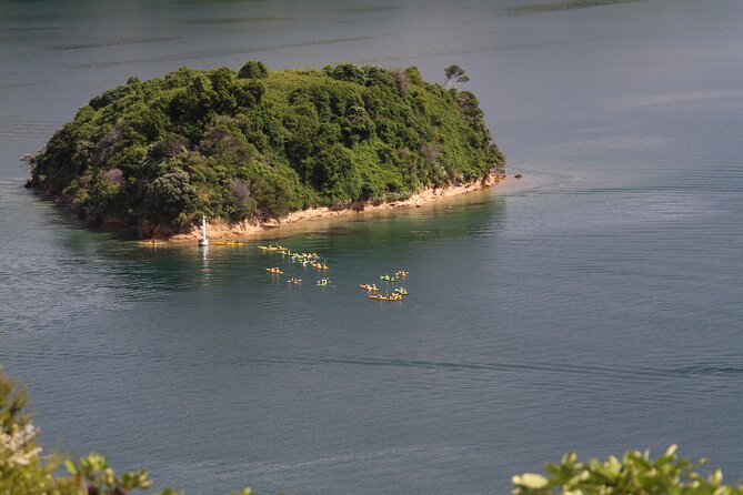 Full day Guided Sea Kayak Tour from Picton - Who will enjoy this Picton kayak tour?