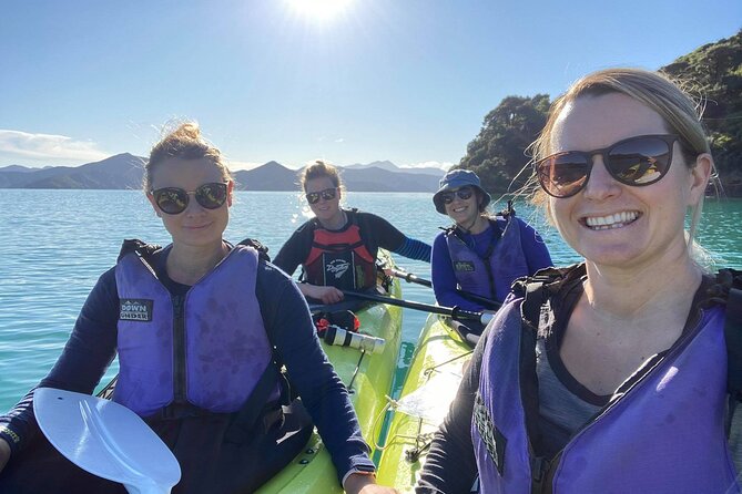 Full-Day Guided Sea Kayak Trip from Picton - Key points to know before you book