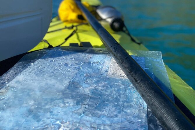 Full-Day Guided Sea Kayak Trip from Picton - Morning tea at a remote beach