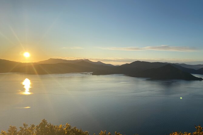 Full-Day Guided Sea Kayak Trip from Picton - Into Grove Arm and a quiet lunch bay