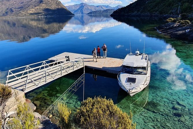 Full-Day Guided Sea Kayak Trip from Picton - Wildlife, stories, and the value of a guide