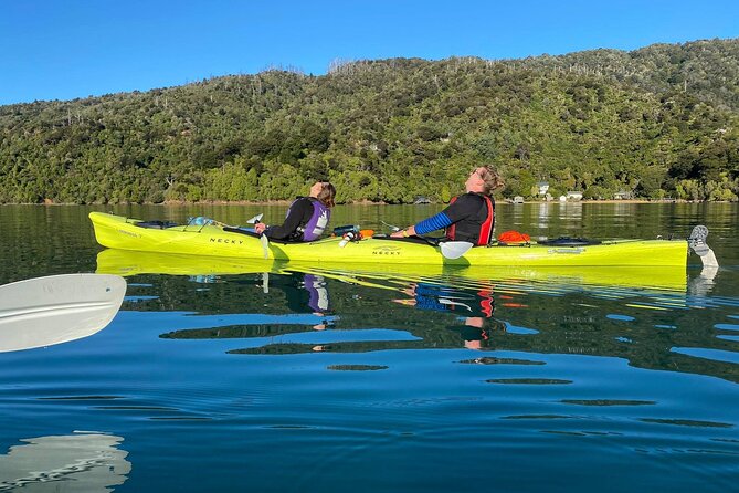 Full-Day Guided Sea Kayak Trip from Picton - Who will enjoy this day most