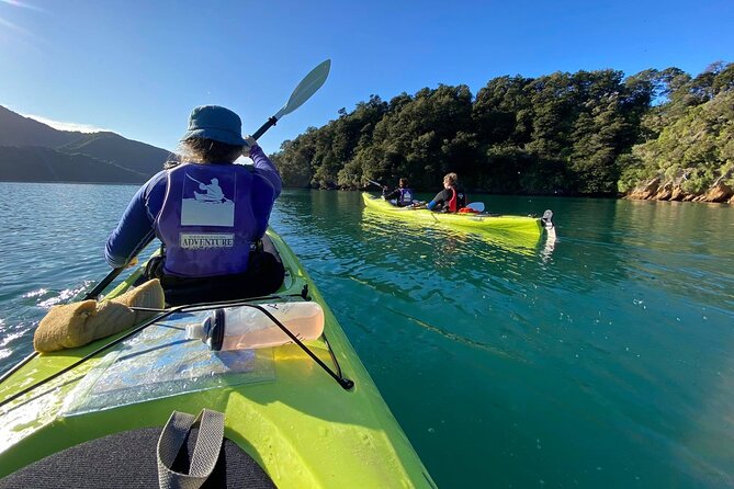 Full-Day Guided Sea Kayak Trip from Picton - Paddling across the harbor