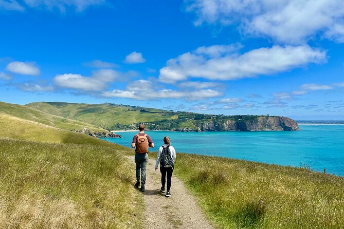 Full Day Guided Walking Tour and Picnic around Godley Head - Why this Godley Head day works so well
