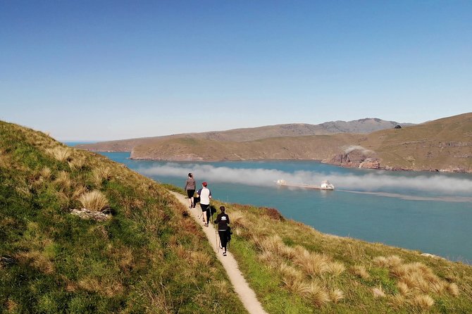Full Day Guided Walking Tour and Picnic around Godley Head - Guides who make the pace feel manageable