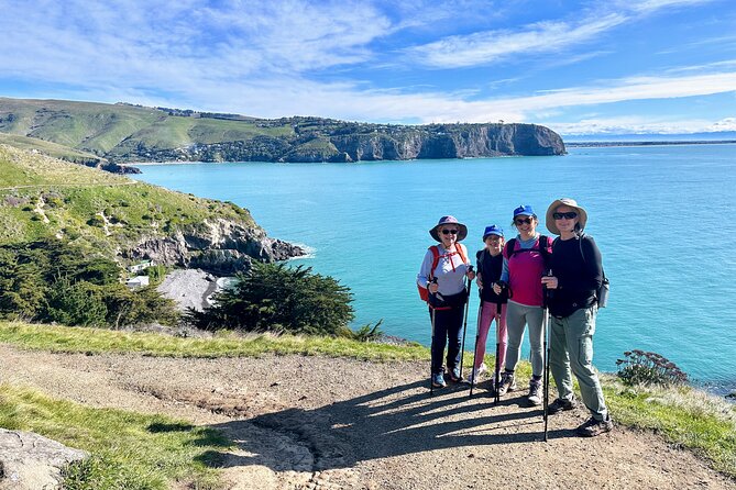 Full Day Guided Walking Tour and Picnic around Godley Head - Who should book, and who should think twice