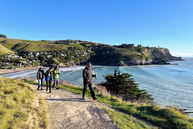 Full Day Guided Walking Tour and Picnic around Godley Head - Three hours around the Godley Head Loop Track