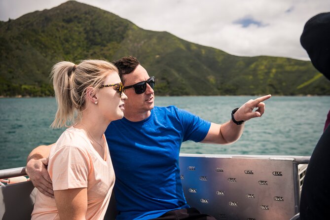 Full Day Iconic Mail Boat Cruise - Meeting the people and animals at the jetties