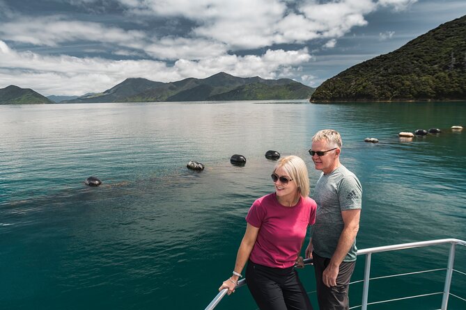 Full Day Iconic Mail Boat Cruise - Is the $86.88 price good value?