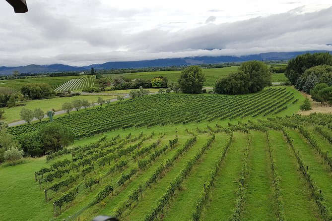 Full-Day Marlborough Catamaran Cruise with Wine Tour and Lunch - Weather, cancellations, and the best season for the day