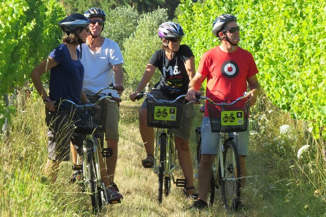 Full-Day Marlborough Wine Region Bike Hire - Following the flat trail from cellar door to cellar door