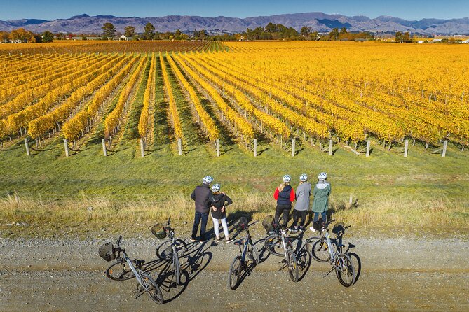 Full-Day Marlborough Wine Region Bike Hire - Choosing the right bike for your group