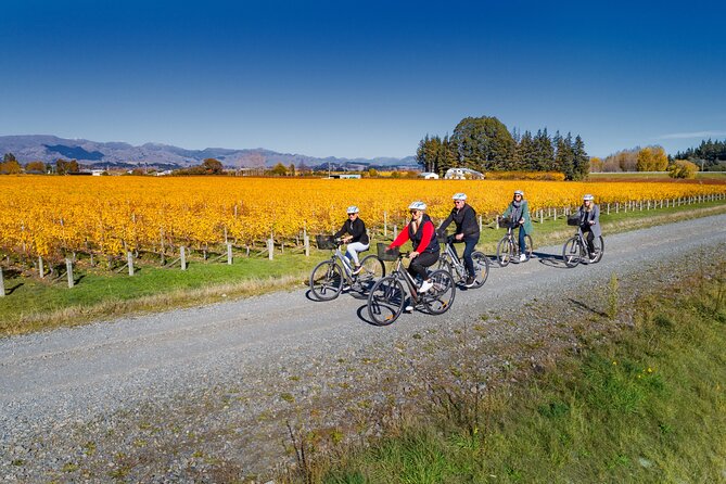 Full-Day Marlborough Wine Region Bike Hire - What the $43 price really covers