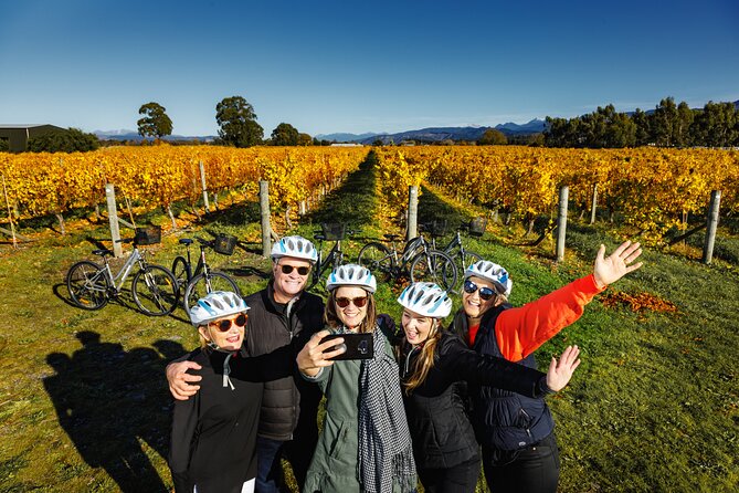 Full-Day Marlborough Wine Region Bike Hire - Starting at Blenheim or The Vines Village