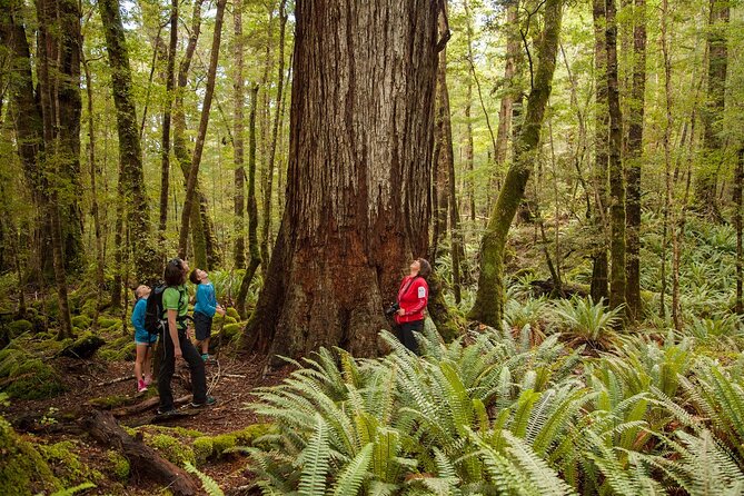 Full-Day Milford Sound Tour with Cruise and Walks from Te Anau - Why the Te Anau departure makes sense