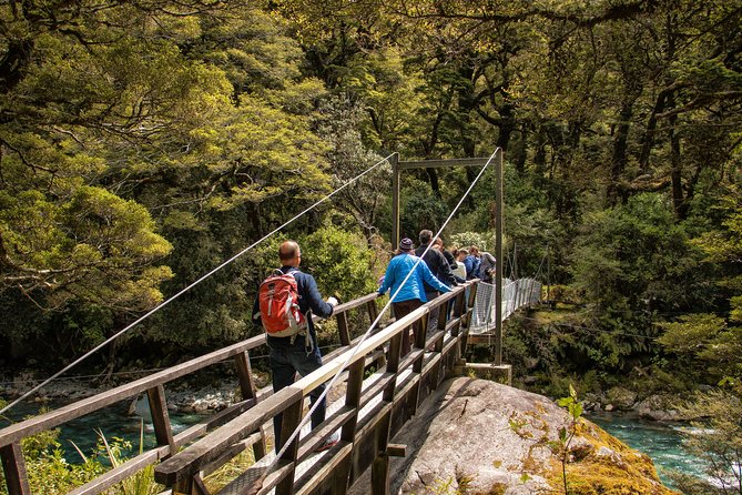 Full-Day Milford Sound Tour with Cruise and Walks from Te Anau - The guides shape the day