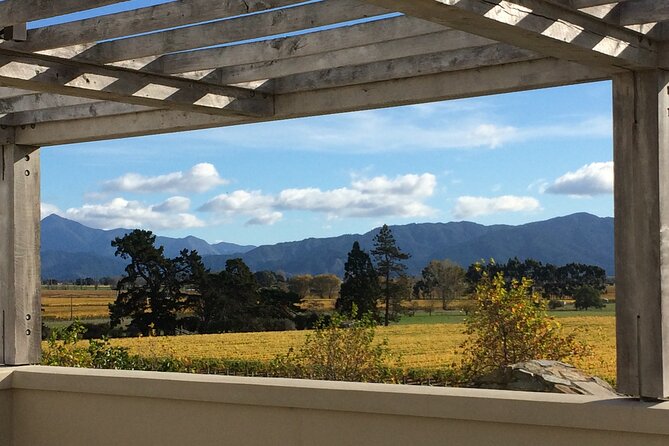Full-Day Omaka Aviation Heritage Center and Wine Tasting Tour - Why Omaka makes this more than a wine tour