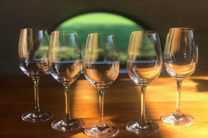 Full-Day Omaka Aviation Heritage Center and Wine Tasting Tour - The Vines Village adds variety beyond wine