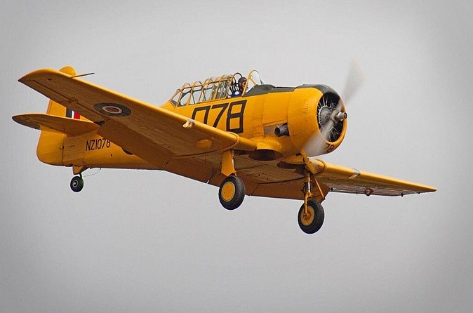 Full-Day Omaka Aviation Heritage Center and Wine Tasting Tour - What the small group changes