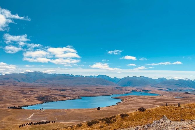 Full-Day Private Tour Mt.Cook from Christchurch - What the private setup is really worth