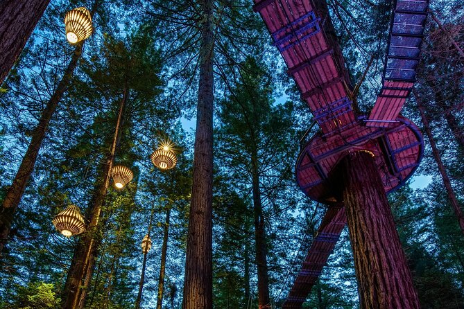 FULL DAY ROTORUA TOUR - Fully Customisable 13 hours Unlimited KMS - What $579 buys your group