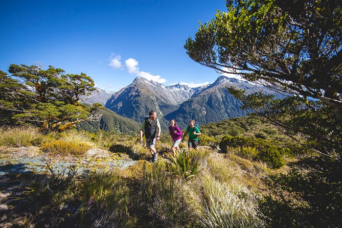 Full-Day Routeburn Track Key Summit Guided Walk from Te Anau - Key points to know before you book