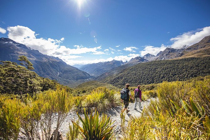 Full-Day Routeburn Track Key Summit Guided Walk from Te Anau - Descending to the Divide