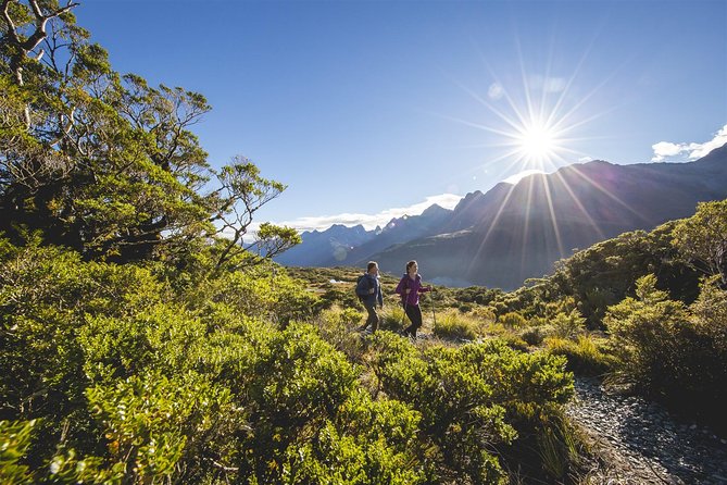 Full-Day Routeburn Track Key Summit Guided Walk from Te Anau - Is the $192.38 price good value?