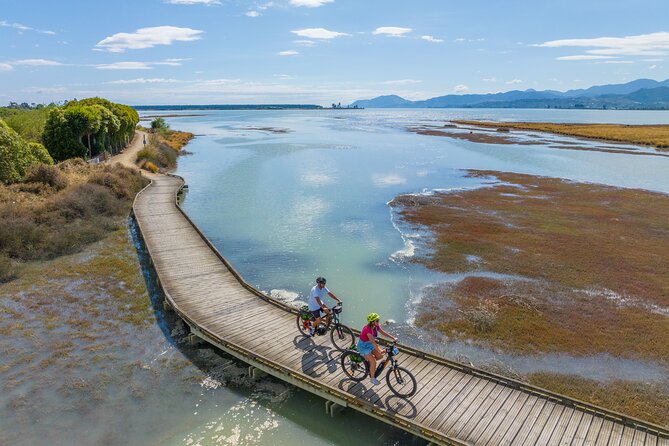 Full-Day Sailing Adventure in the Abel Tasman National Park - Anchorage Bay for lunch and free time