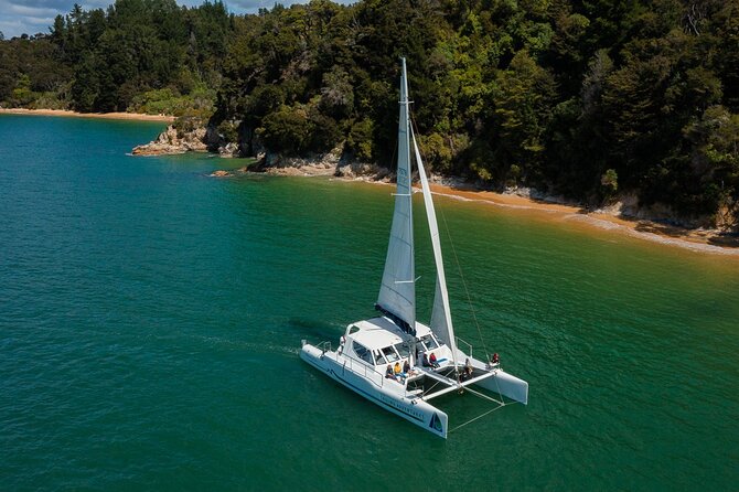 Full-Day Sailing Adventure in the Abel Tasman National Park - The afternoon return and the sea breeze