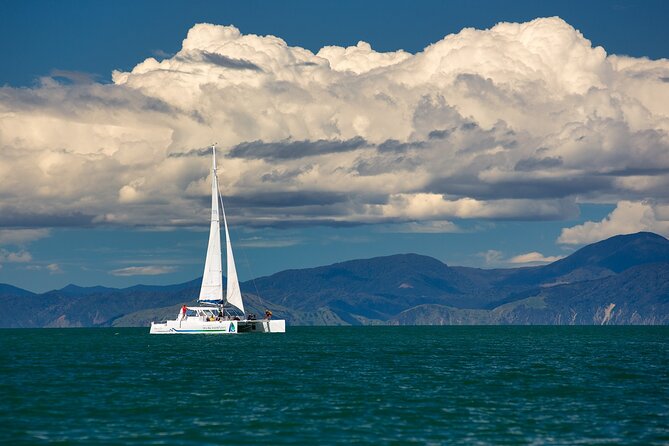 Full-Day Sailing Adventure in the Abel Tasman National Park - What the $167.55 price covers