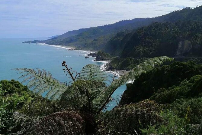 Full Day Tour of the Sights and Tastes of the West Coast - The West Coast in one long, well-filled day