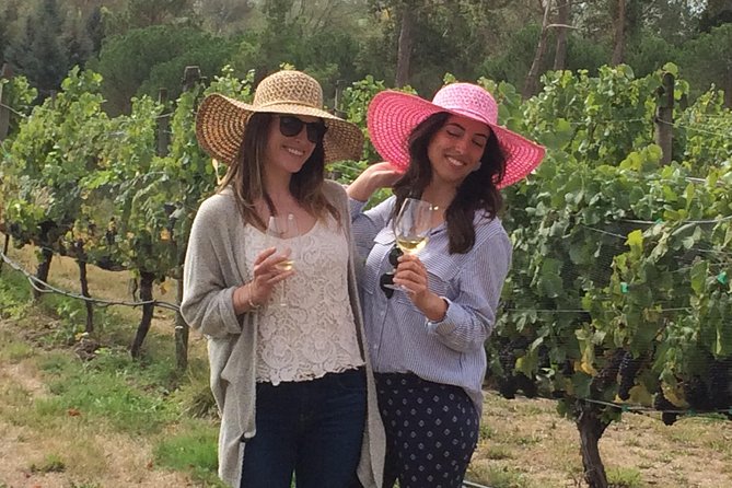 Full-Day Wine Gourmet and Scenic Delight Tour of Marlborough from Blenheim - A practical introduction to Marlborough wine country