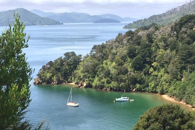 Full-Day Wine Gourmet and Scenic Delight Tour of Marlborough from Blenheim - Allan Scott brings family winemaking into the mix